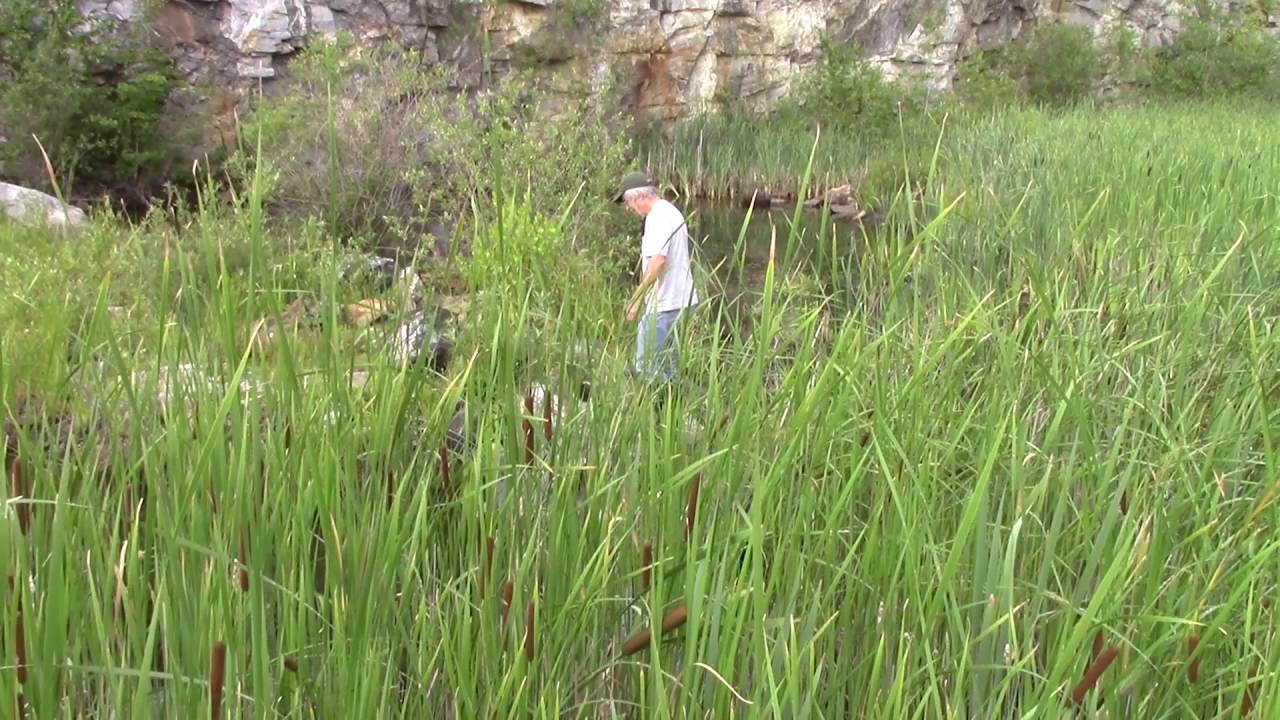 A Visit to the Quarry in the Mineral Hills of Northampton, Massachusetts