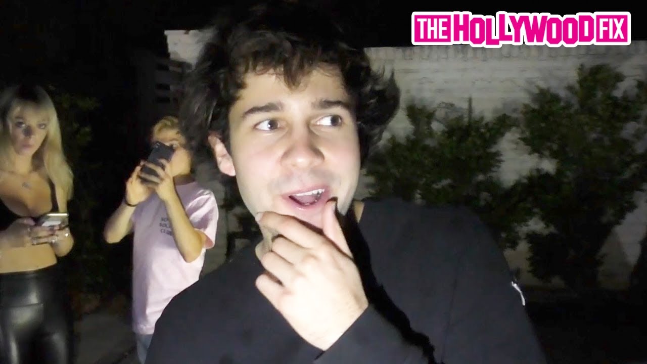 David Dobrik Does His Best Sway House Impression While Trying To Find Madison Beer At A Party