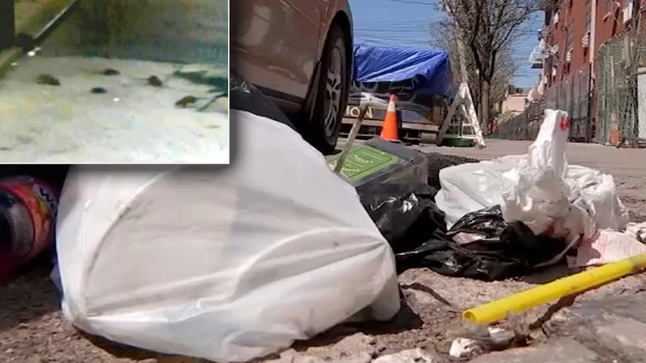 NYC's $14.5 million cleanup effort get underway