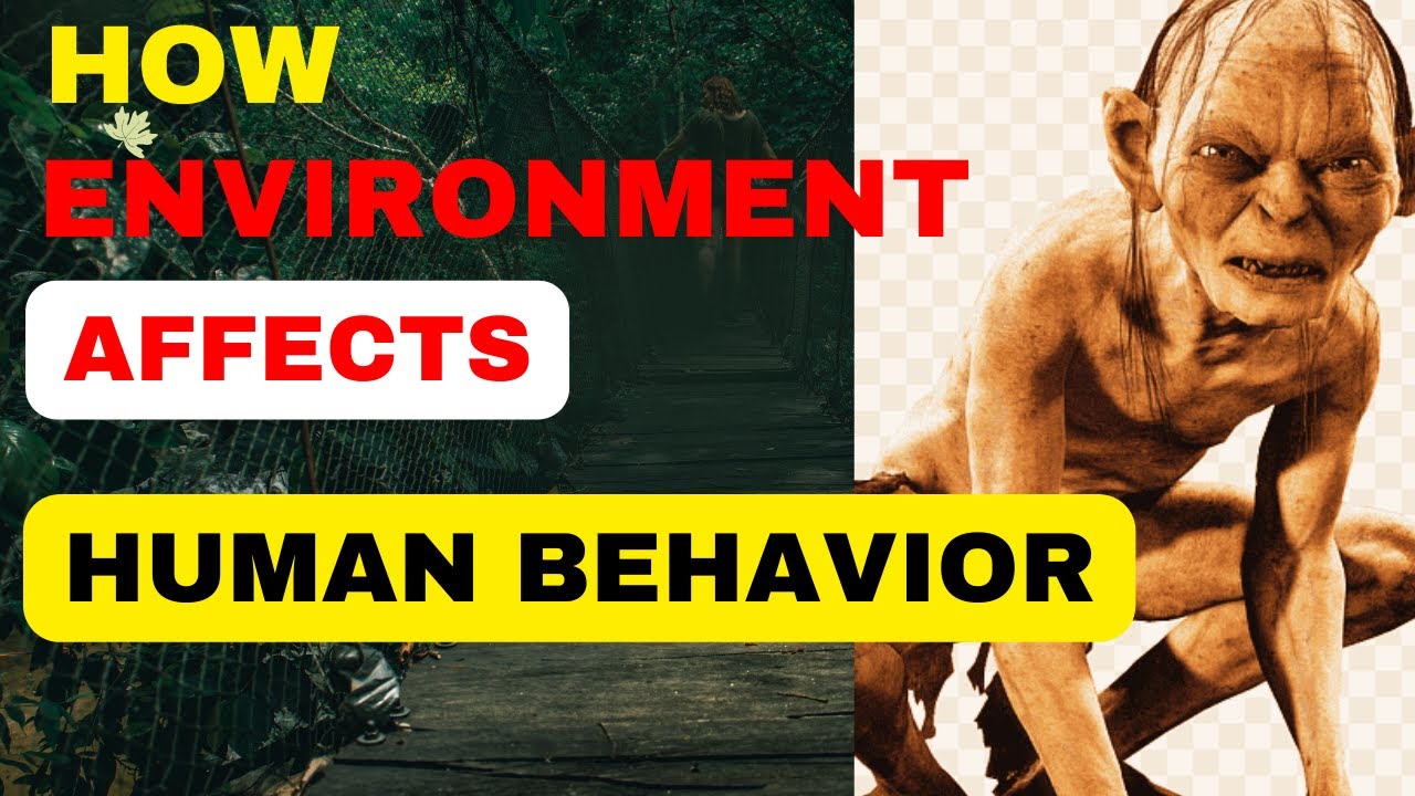 How environment affects human behavior(7 reasons)