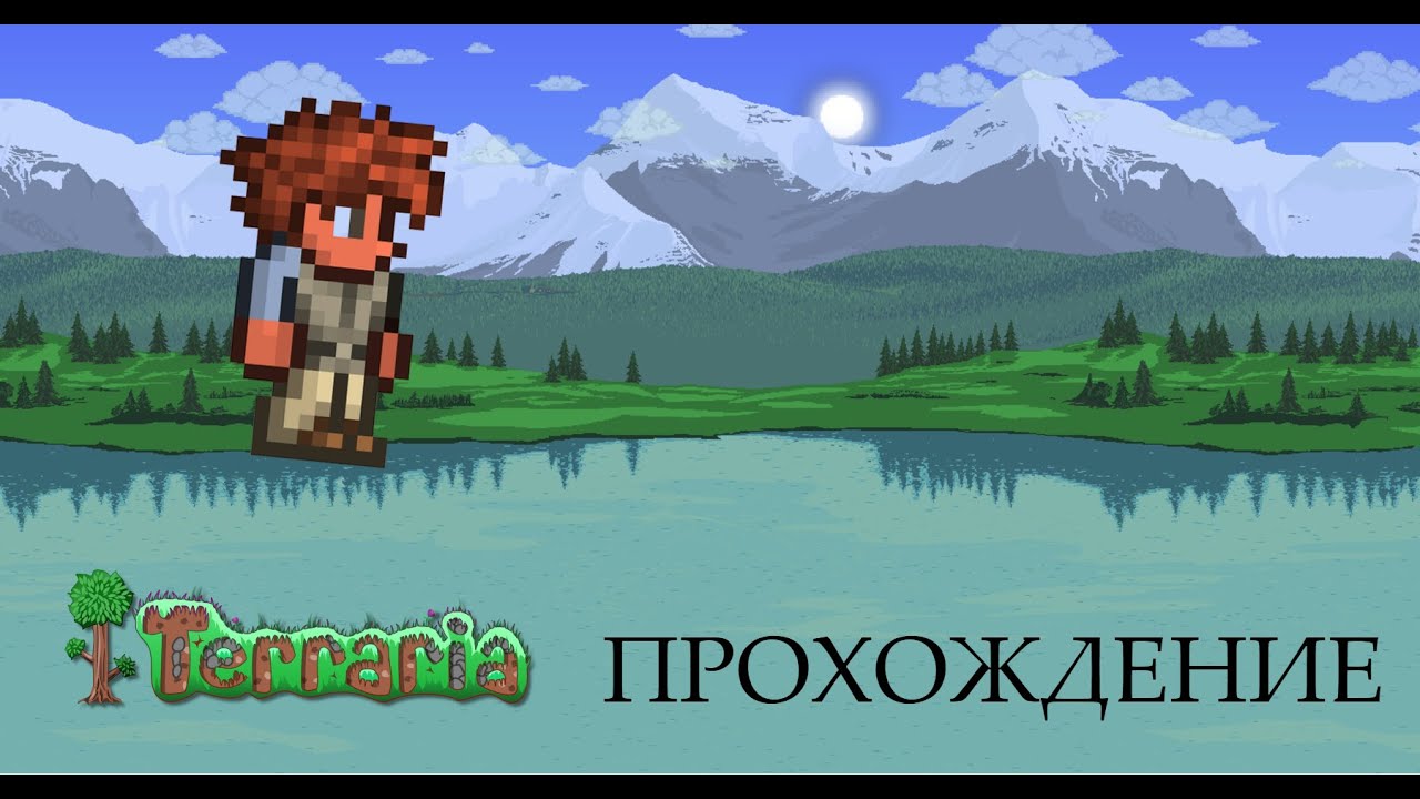 ПРОХОЖДЕНИЕ ТЕРРАРИИ (часть 1)