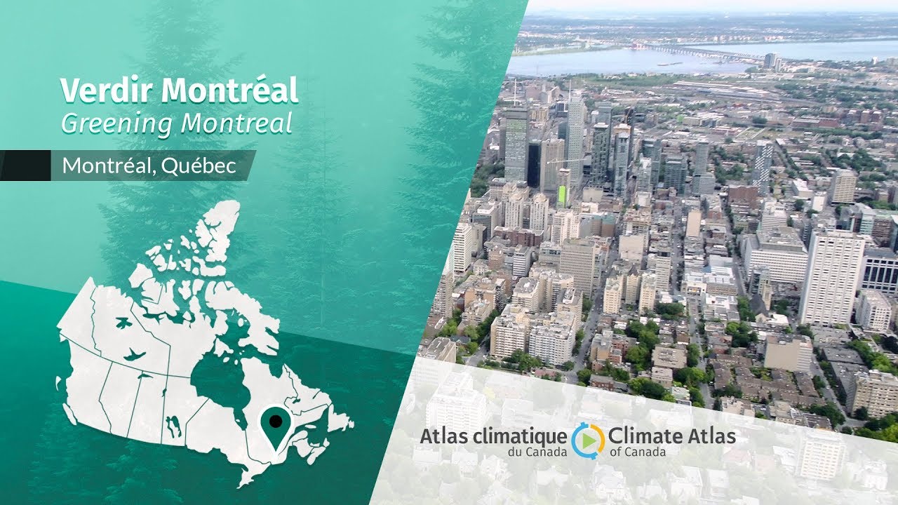 Verdir Montréal:  Combattre les îlots de chaleur urbains