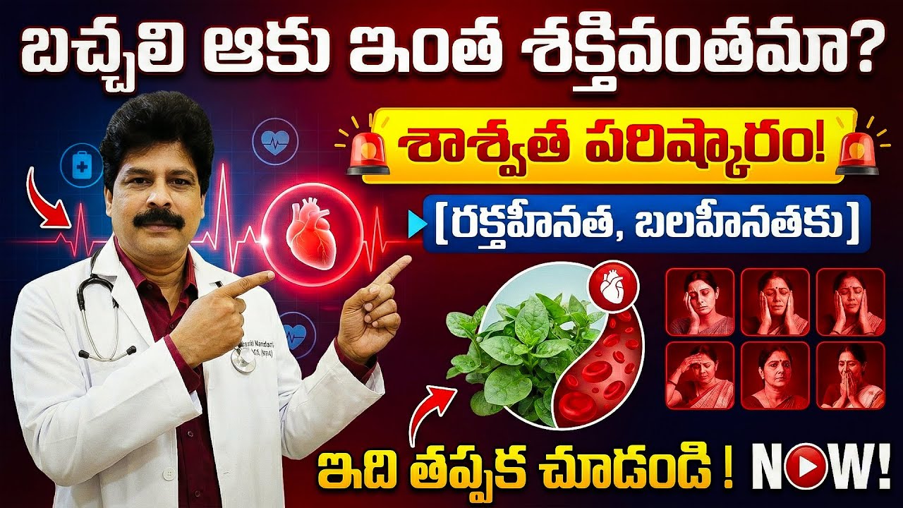 బచ్చలి ఆకు ఇంత శక్తివంతమా? రక్తహీనత శాశ్వత పరిష్కారం| Bachali Aaku Benefits: Remedy for Anemia