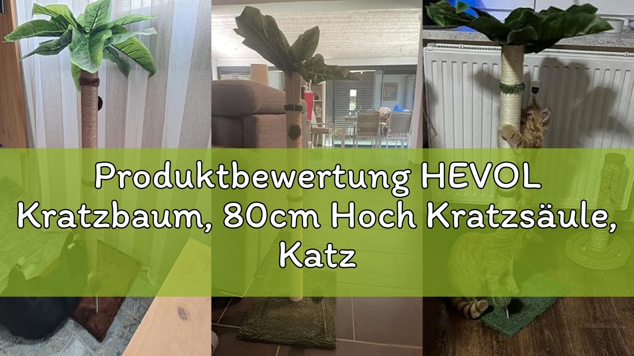 Produktbewertung HEVOL Kratzbaum, 80cm Hoch Kratzsäule, Katzenbaum, Kratzstamm für Mittelgroße und K