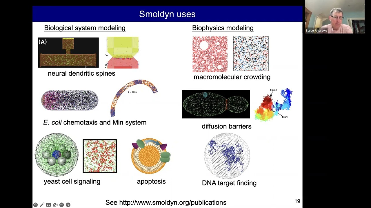 Introduction to spatial modeling