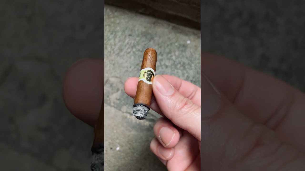 🔥Premium Cigarillos Are Amazing🔥💨#cigars #torch #cigarhumidor #cigarillos #asmr #shorts