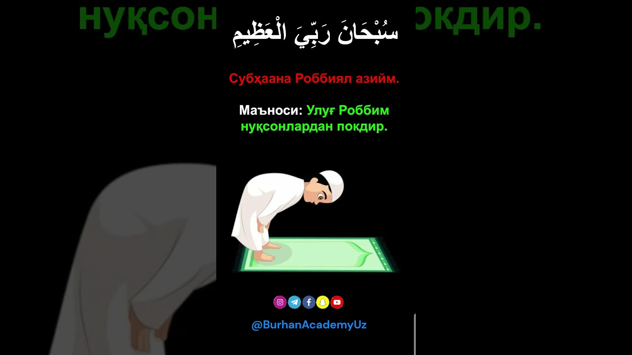 SAJDA va RUKUDA aytiladigan zikrlar ma'nolari bilan | Namozdagi duolar #shorts #BurhanAcademyUz