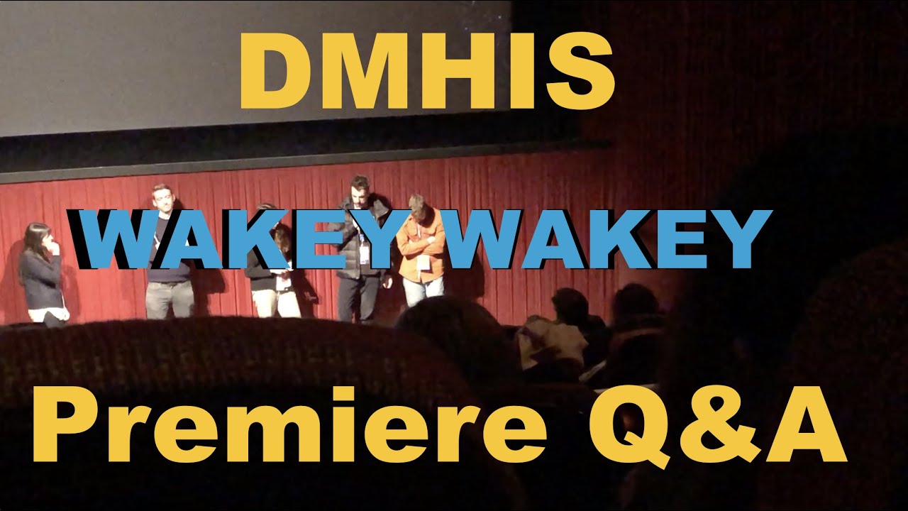 DHMIS Wakey Wakey Premiere Q&A Don't Hug Me I'm Scared Interview