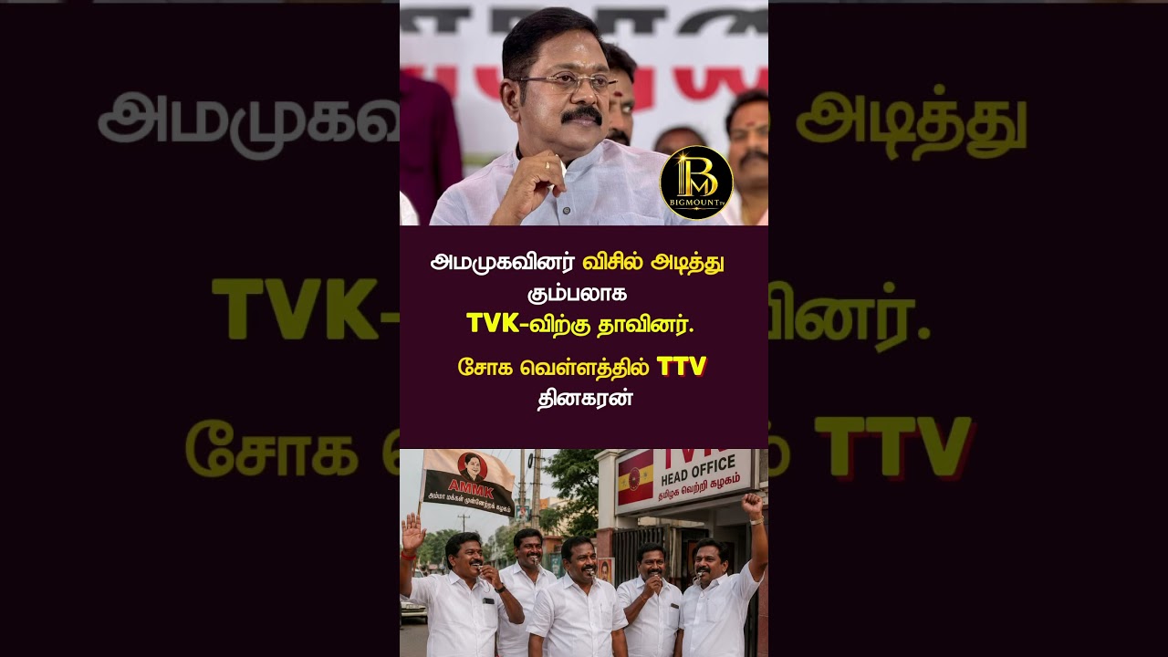 AMMK | TVK | TTV dhinakaran | Vjai #ammk #tvkvijay #tvk
