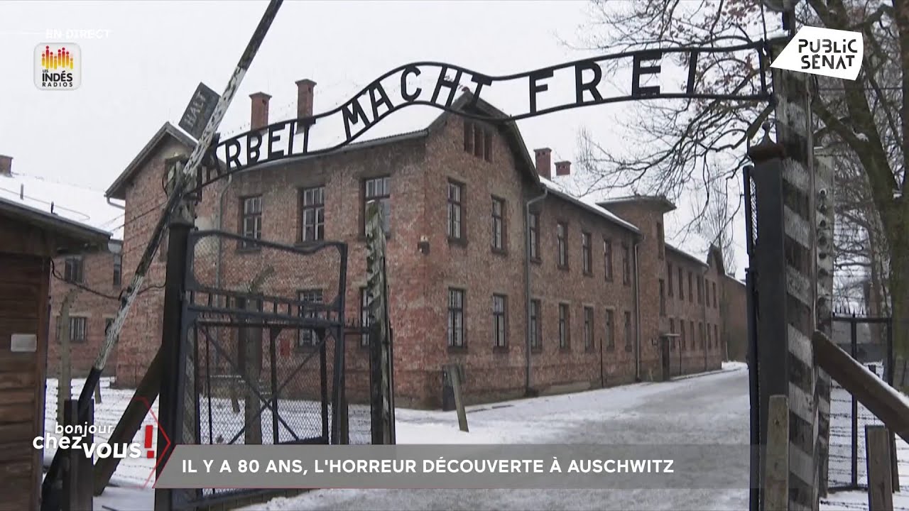 Il y a 80 ans, l'horreur découverte à Auschwitz