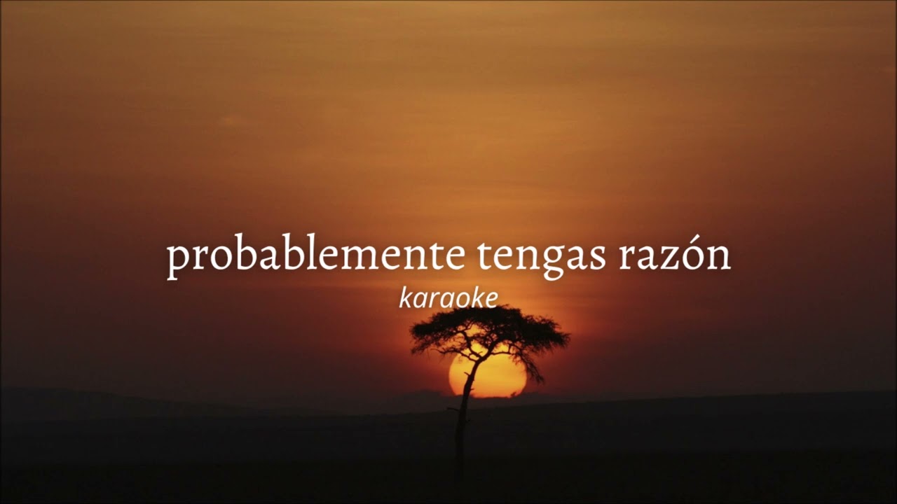 probablemente tengas raz&oacute;n - carolina durante // karaoke instrumental