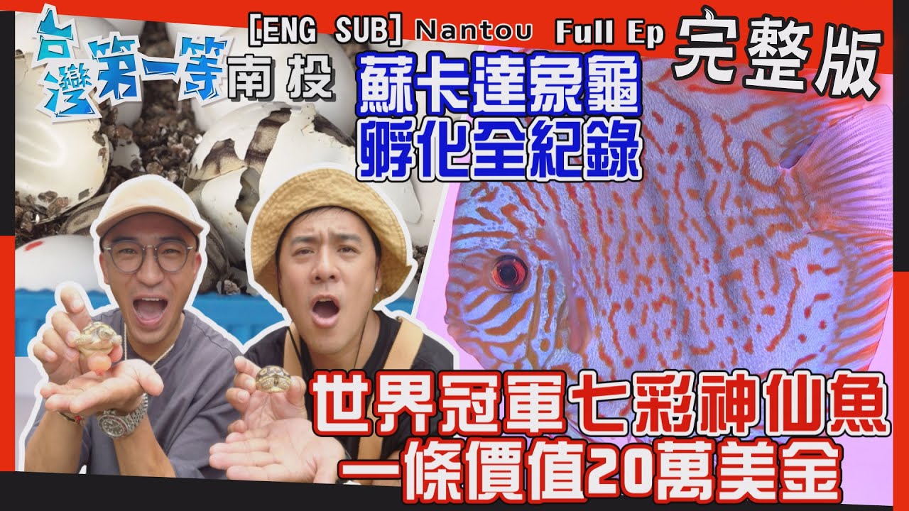 [全新] Nantou【 世界冠軍