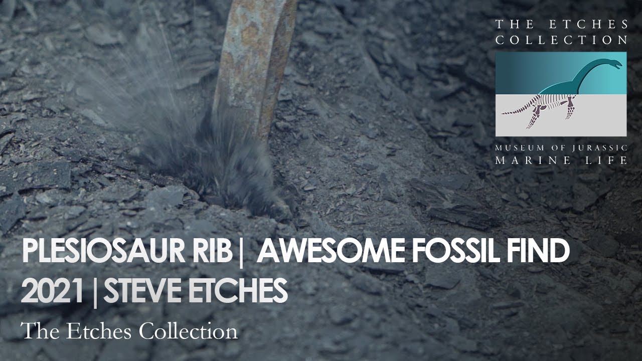 PLESIOSAUR RIB | AWESOME FOSSIL FIND 2021 | STEVE ETCHES