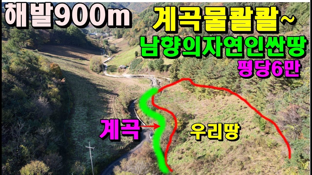 해발900m계곡물콸콸~골막장/남향의자연인싼땅/평당6만/정선부동산매매/정선토지매매