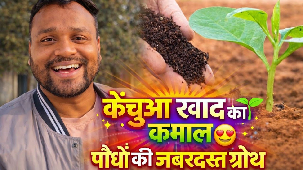 आज मैंने केंचुआ खाद खरीदी और पौधों में डाली 🌱 | Madhav Vlogs