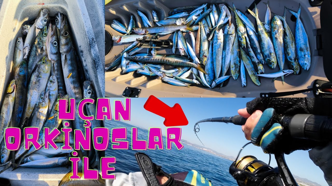 UÇAN ORKİNOSLAR İLE LAMBUKA AVI . KUŞADASI BALIK AVI .KANOYLA BALIK AVI . #fishing #balık