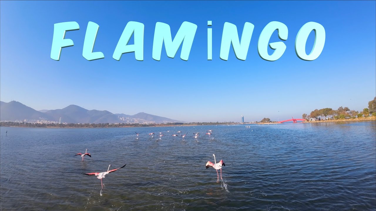İzmir İnciraltı kent ormanı  DJİ AVATA FPV ilk uçuş.