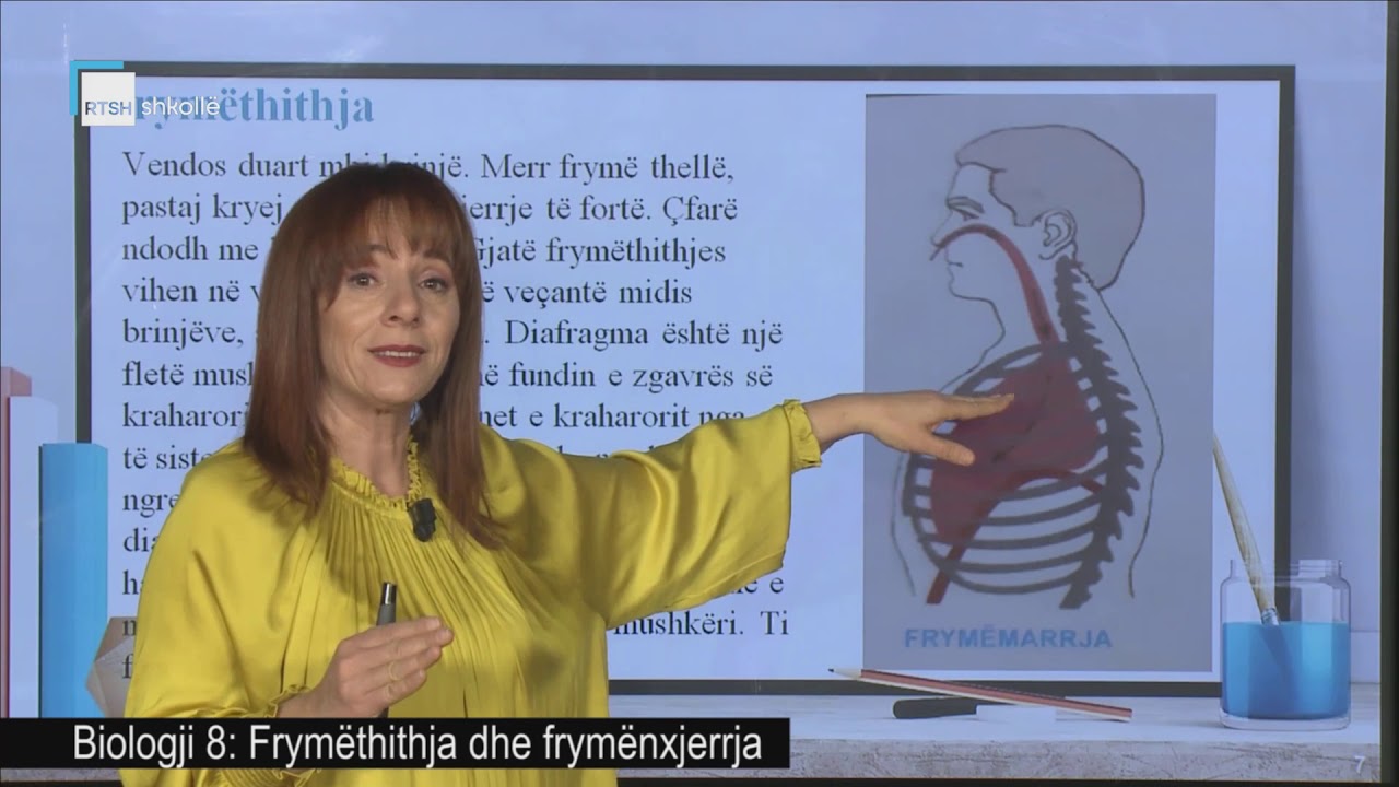 Biologji 8 - Frymëthithja dhe frymёnxjerrja