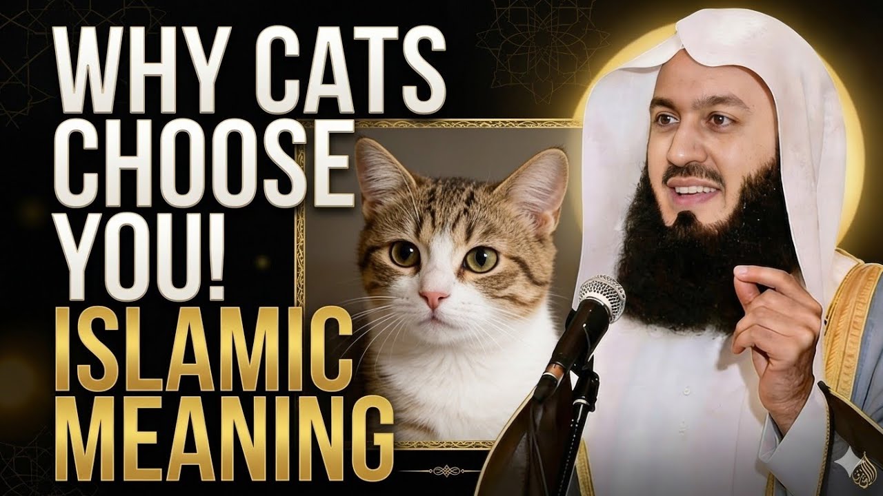 Why Cats Choose Certain People | The Islamic Insight You’ve Never Heard | Mufti Menk Reminder