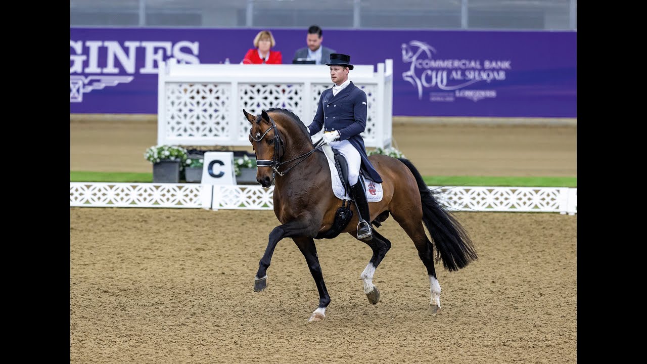 Foundation - Stallion Collection Schockemoehle & Helgstrand 2021 ENG