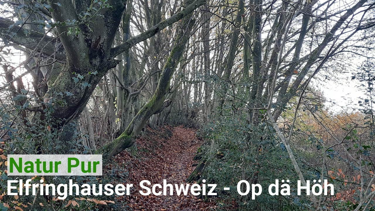 Natur Pur - Elfringhauser Schweiz   Op dä Höh