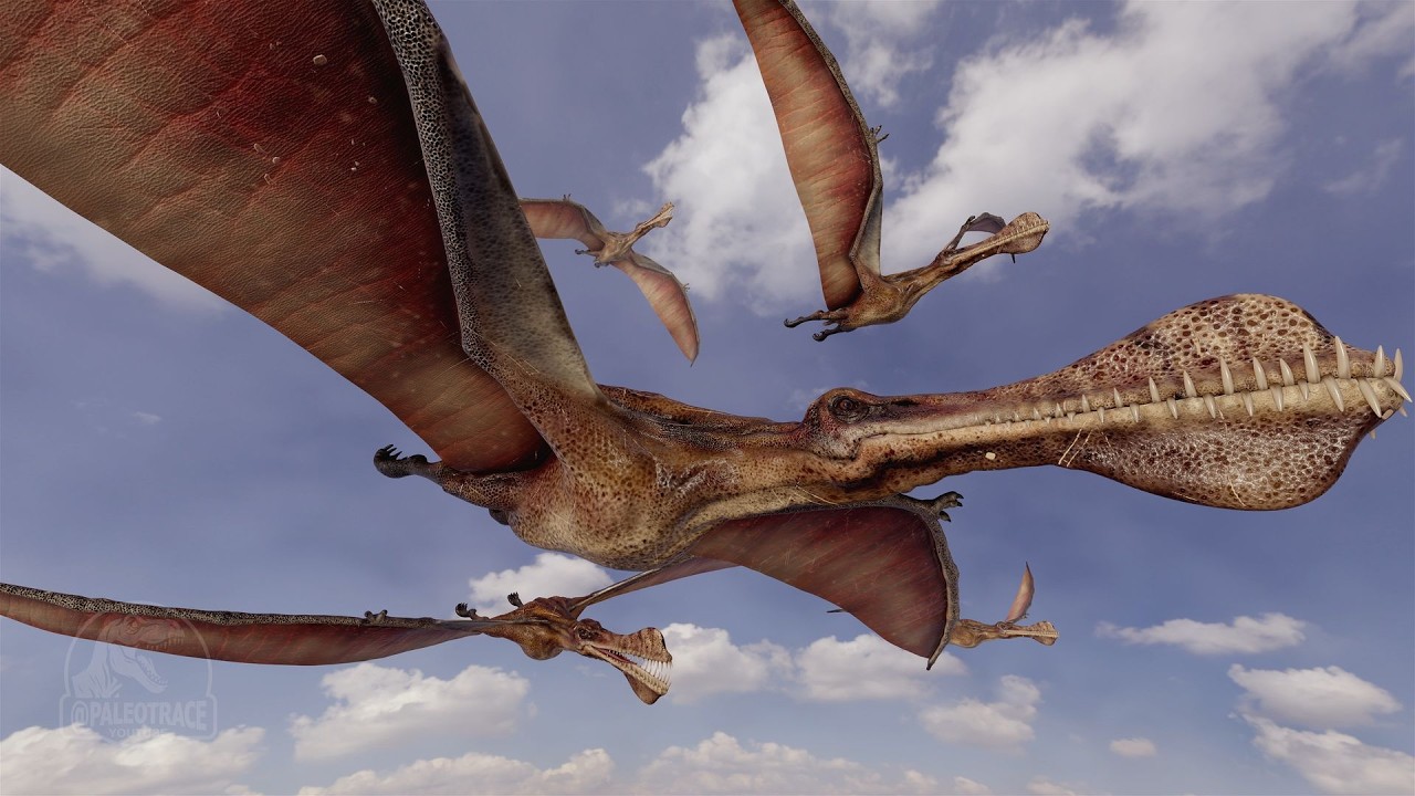 Recreating Australia's Largest Pterosaur: Thapunngaka shawi | 3D Animation