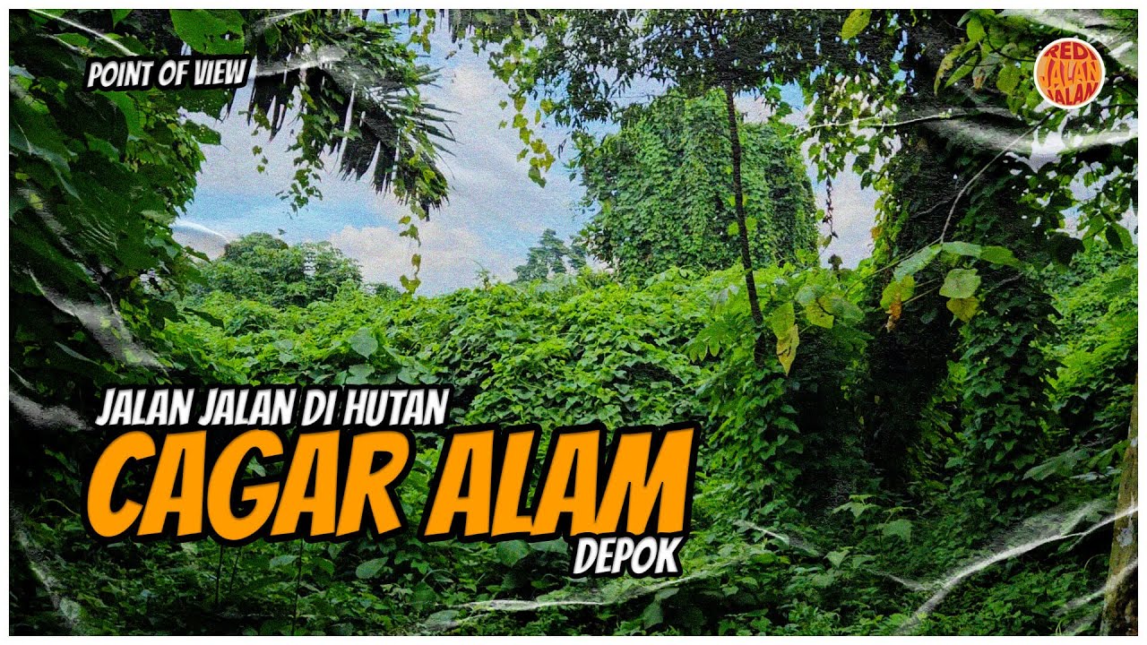 Cagar Alam Kota Depok, Jawa Barat I Taman Hutan Raya I TAHURA