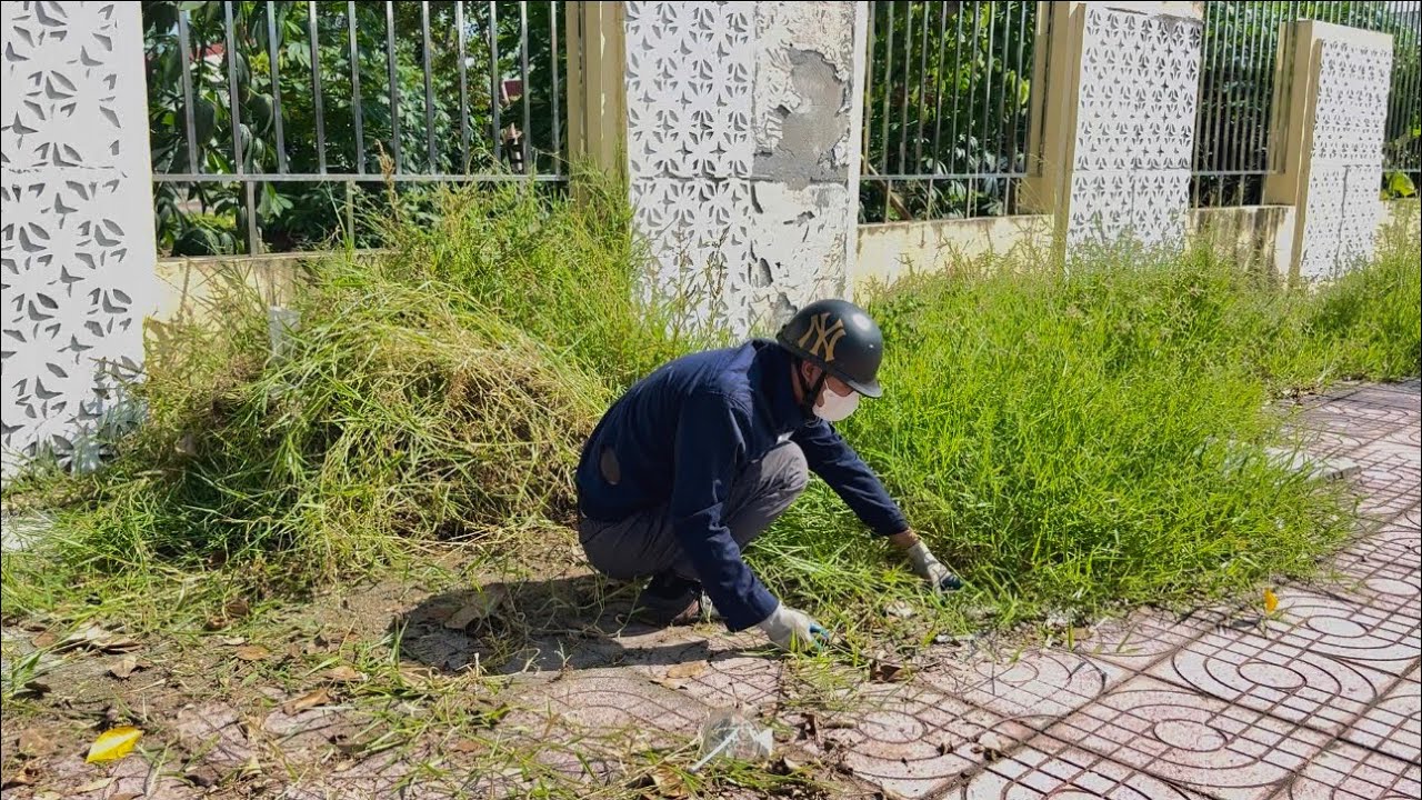 Volunteer to Clean Up Overgrown Grass,  Plastic Waste Along the Sidewalk of the Electricity Company