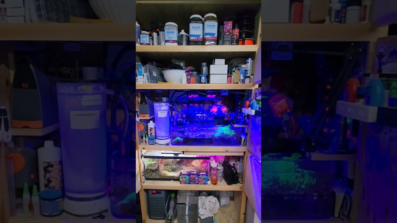 Needed more space! 