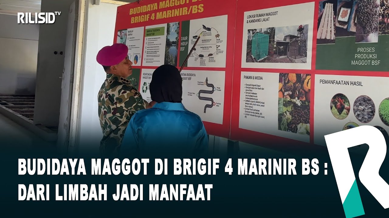 Budidaya Maggot di Brigif 4 Marinir BS : dari Limbah jadi Manfaat