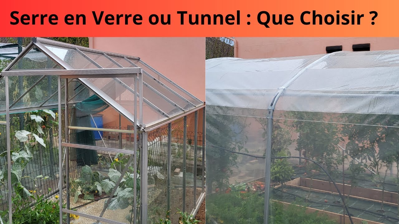 Serre en verre ou tunnel que choisir ?
