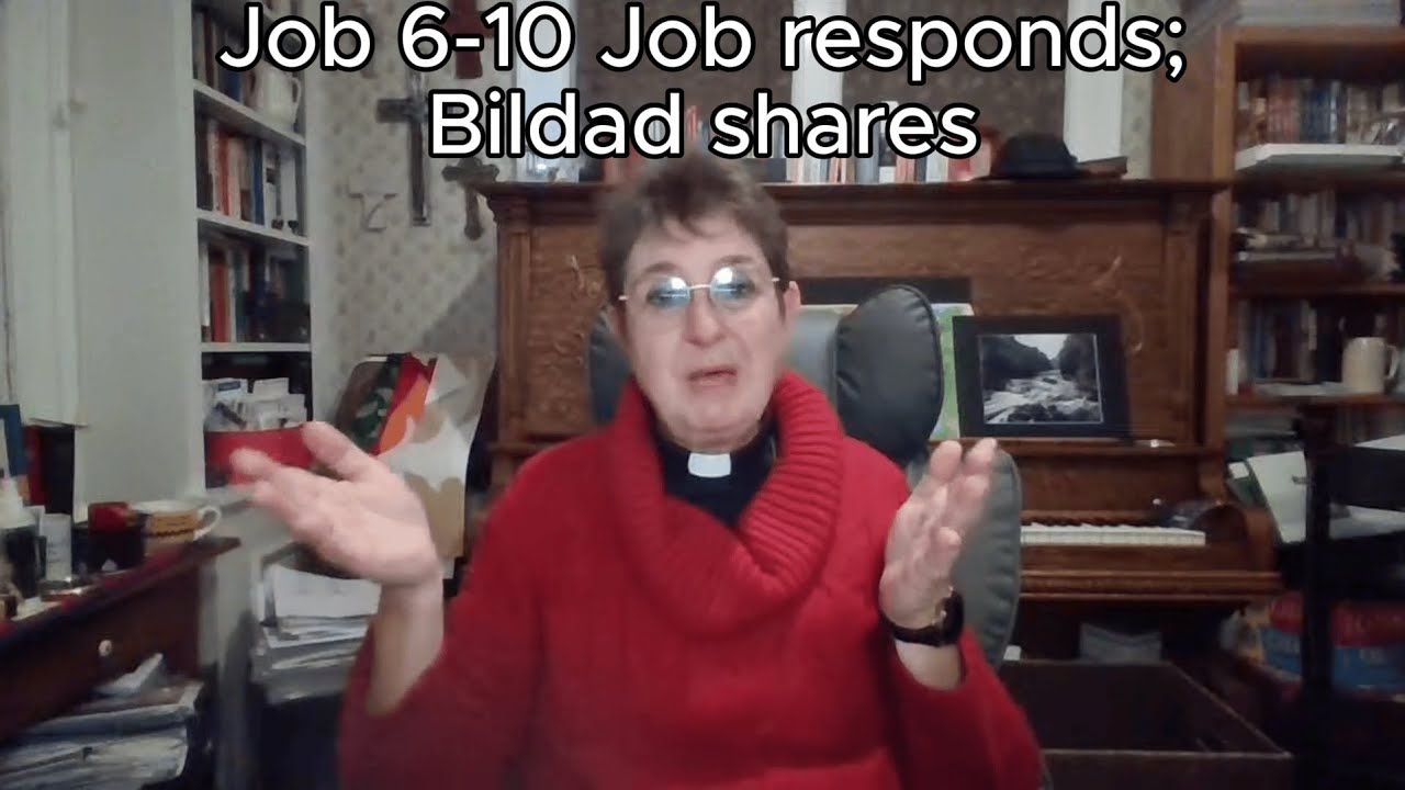 Bible Reading Day 202: Job 6-10 - Job responds; Bildad shares; Job responds