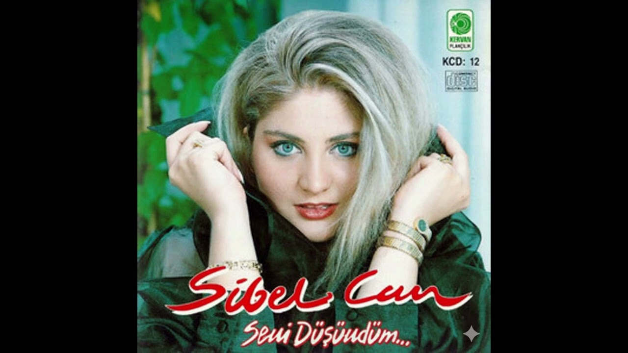 Sibel Can - Seni Düşündüm (Ai Cover)