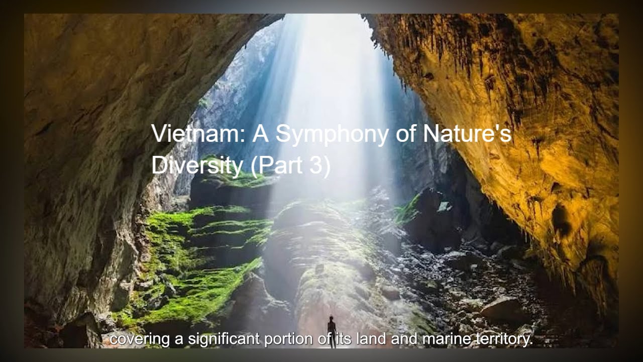 Vietnam: A Symphony of Nature's Diversity (Part 3)