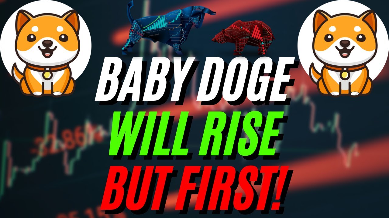 ATTENTION BABY DOGE COIN HOLDERS: WATCH OUT FOR THIS!