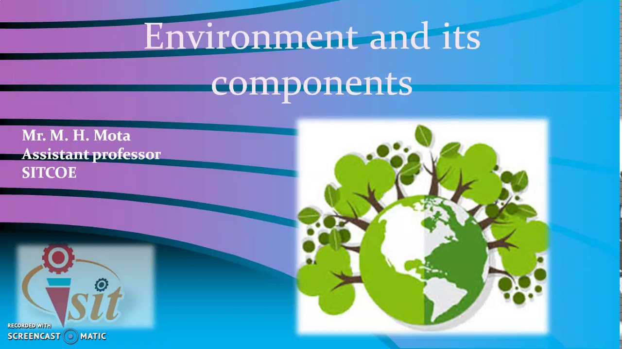 Environment and it's components