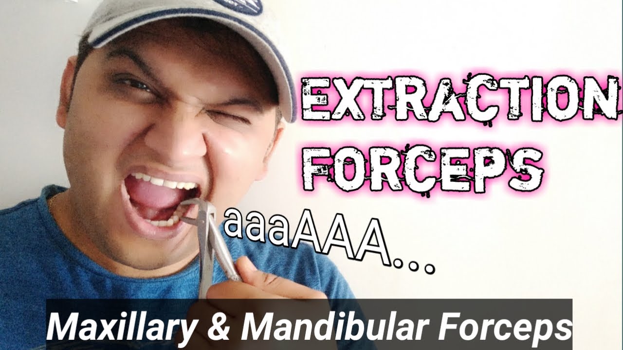 Extraction Forceps | Maxillary Forceps | Mandibular Forceps | Types Of Tooth Dental Forceps
