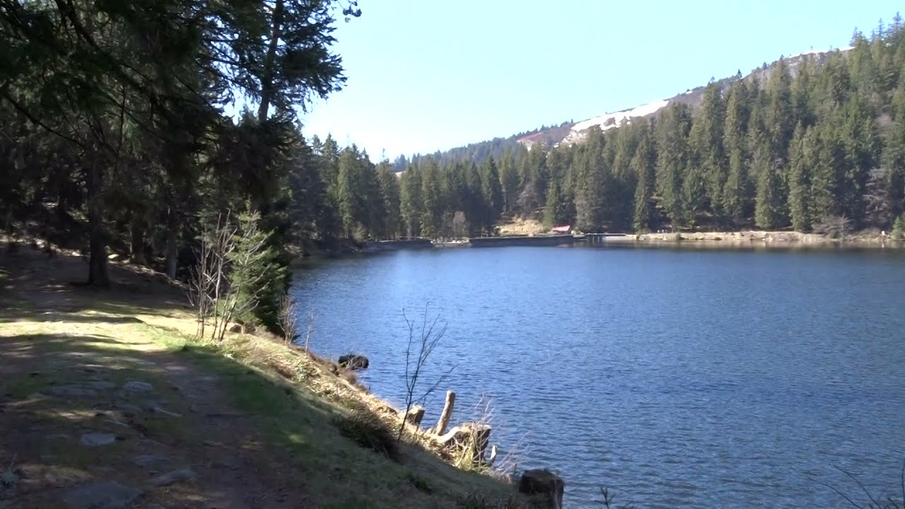 Le lac vert (68, Alsace)