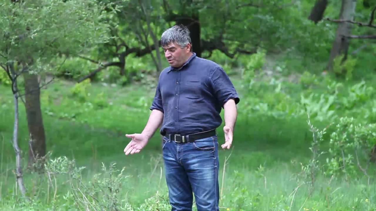 гр Хпедж   Мубарак  2016