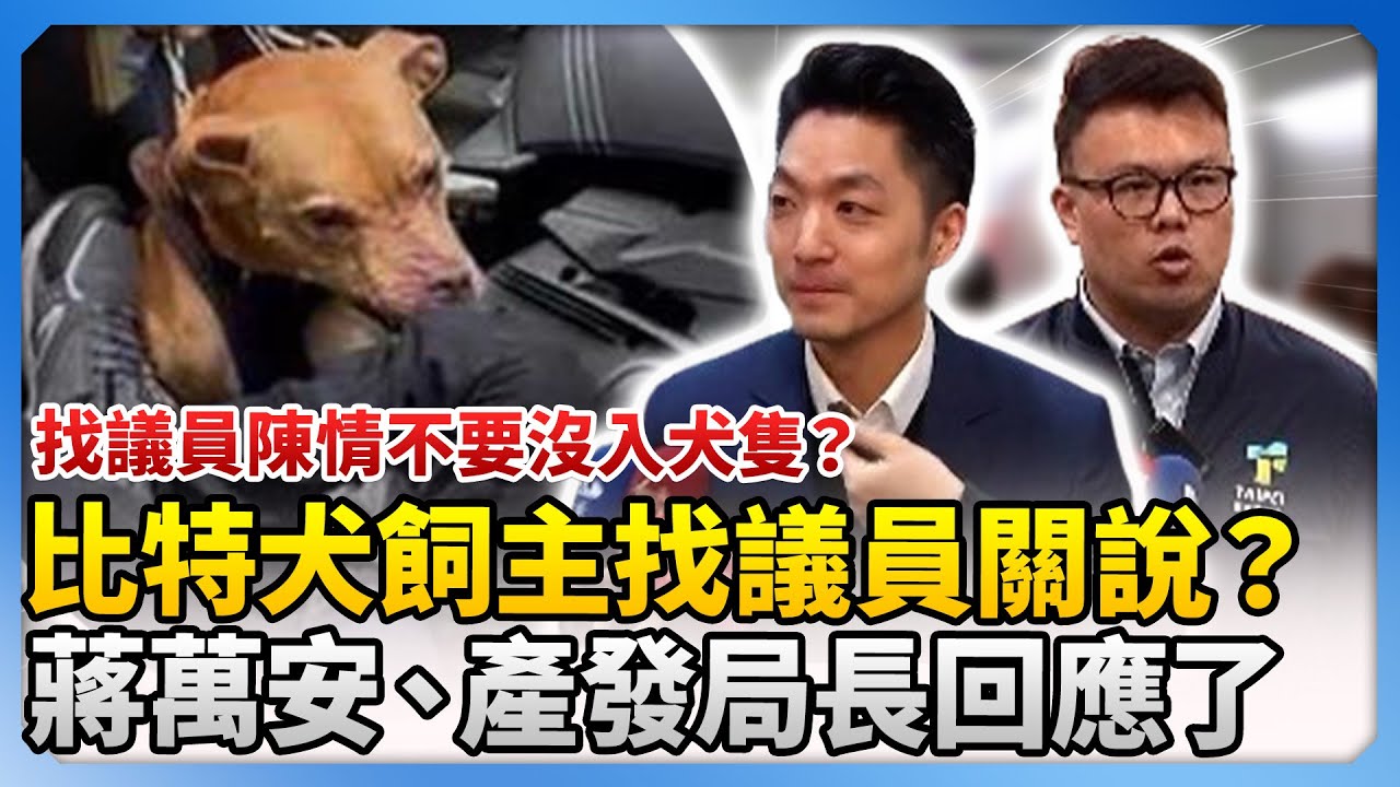 比特犬飼主找議員關說別沒入犬隻？　蔣萬安、產發局長回應了 @ChinaTimes