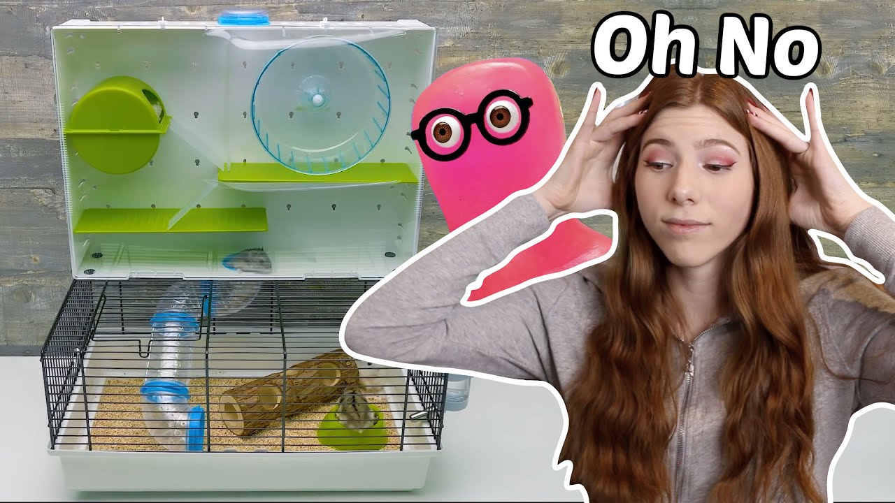 Pet YouTuber reacts to Slick Slime Sam
