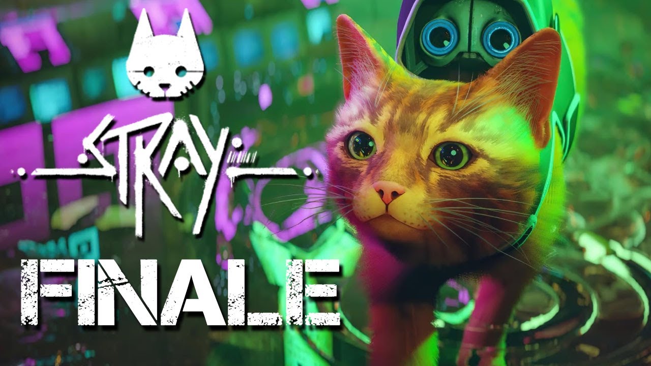 LIIIIBRE CHAT SUIS LIIIIBRE ! - Stary Finale
