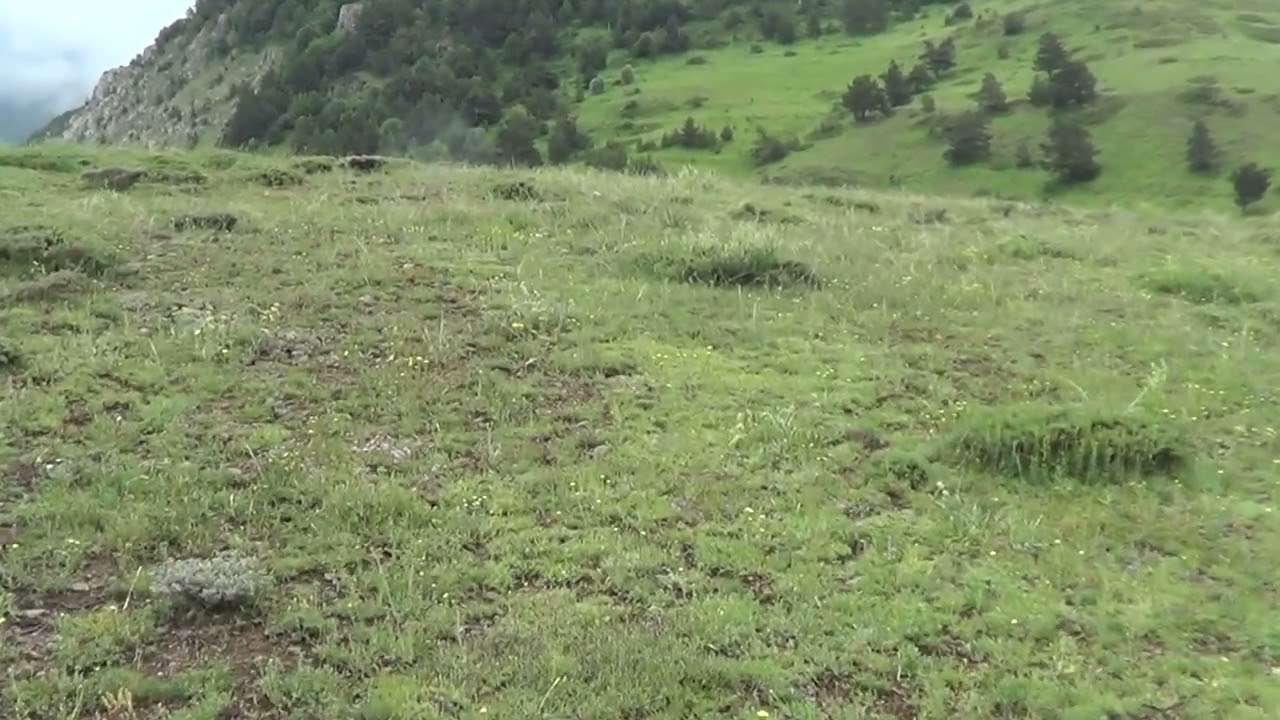 ekingölü köyü kaytarmış  yaylası  2020