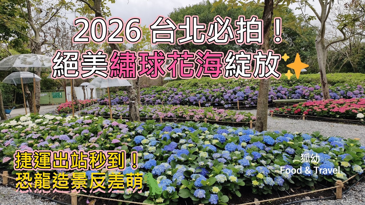 【2026最新】IG狂洗版！大安森林公園「繡球花、爆紅恐龍」到底在哪？十週年《拾花號A'rk》路線大公開