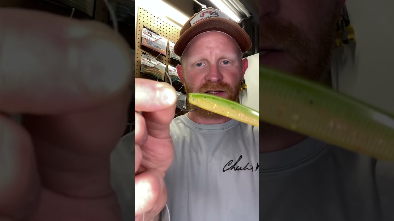 Weedless Drop Shot #fishing #dropshot #basfishing