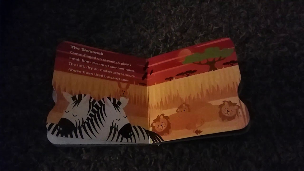 (Aidan Gould Re-Upload) Baby Einstein - Lullabies and Sweet Dreams (Book and Audio CD)