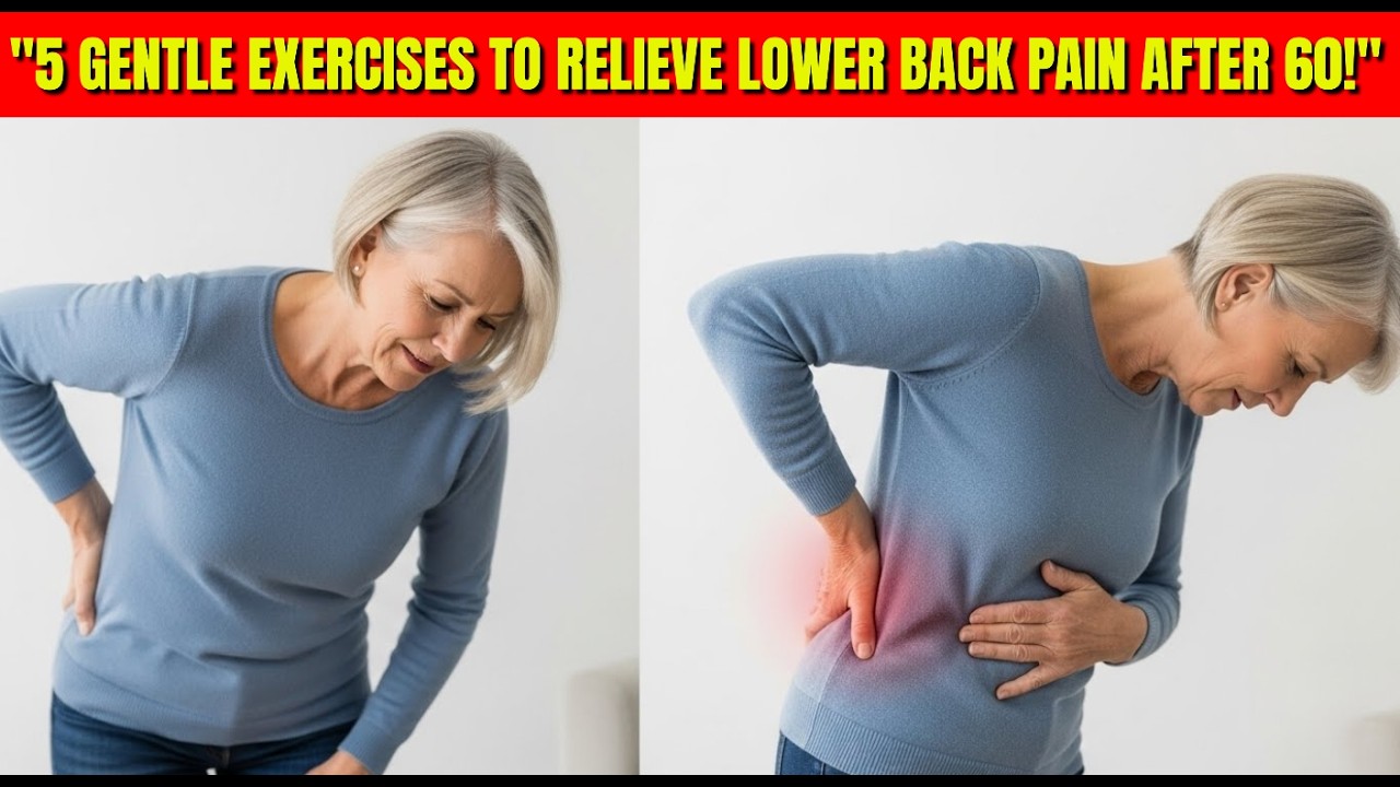 Over 60?5 GENTLE EXERCISES TO RELIEVE LOWER BACK PAIN AFTER 60 | WELLNESS DECODE