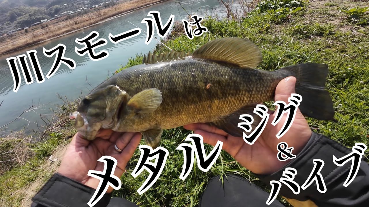 バラしまくりの川スモール
