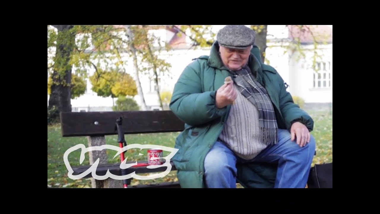 Meet The Mushroom Composer