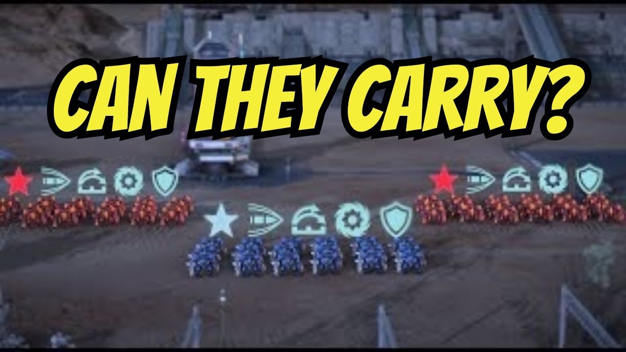 Can Hounds Beat Carry Fangs? Let’s Find Out